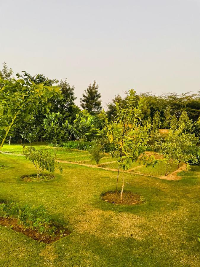 Anantam Aravali Gurgaon Exterior photo